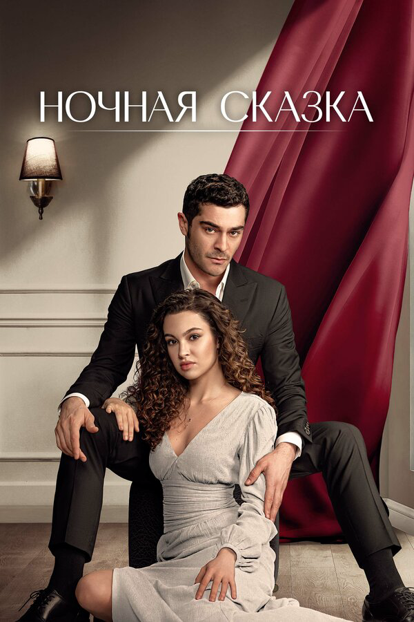 Ночная сказка - постер
